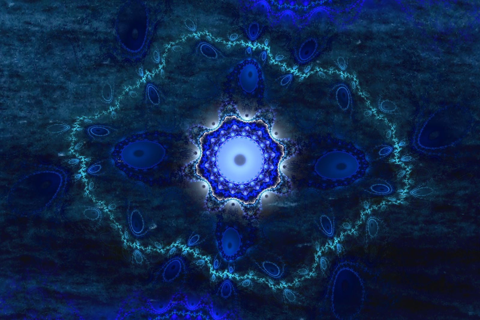 Profile Banner